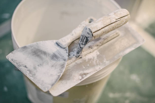 Gardena, CA Mold Removal Company